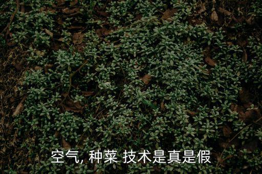 種菜技術(shù),在家種幾盆青菜就不用出去買青菜了