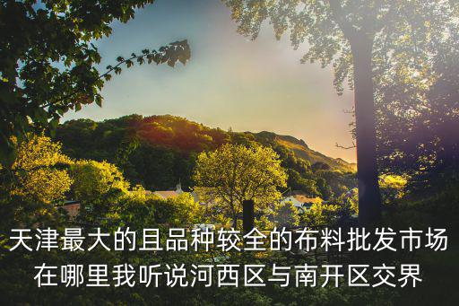 天津最大的且品種較全的布料批發市場在哪里我聽說河西區與南開區交界