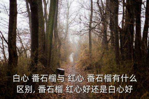 紅心番石榴,紅心和白心番石榴的區別