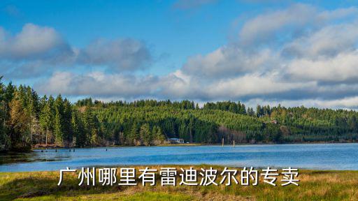 廣州哪里有雷迪波爾的專賣