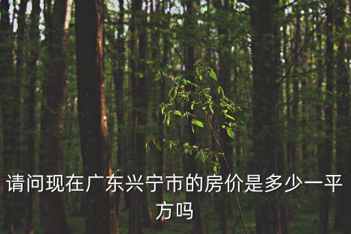請問現在廣東興寧市的房價是多少一平方嗎