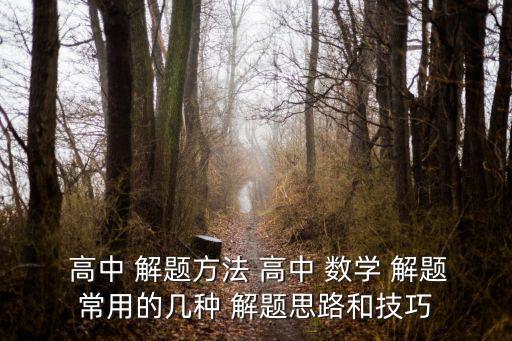  高中 解題方法 高中 數(shù)學(xué) 解題常用的幾種 解題思路和技巧