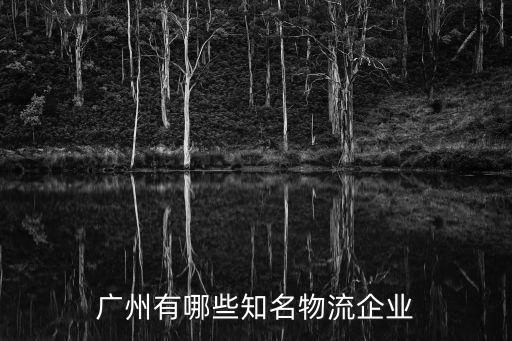 廣州有哪些知名物流企業