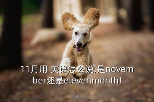 11月用 英語怎么說,是november還是elevenmonth!!