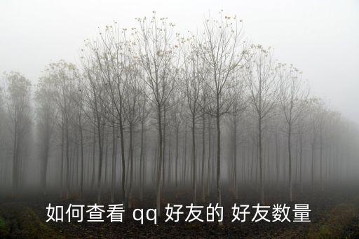 如何查看 qq 好友的 好友數量