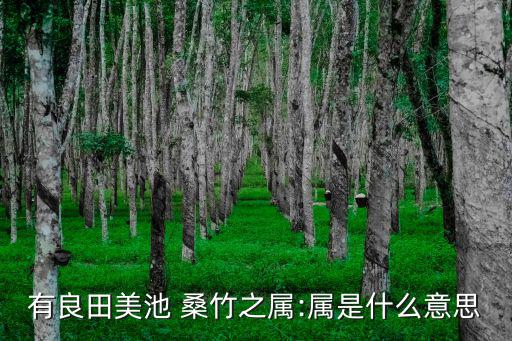 桑竹,土地平坦，房屋也就那樣最后一句話是什么?