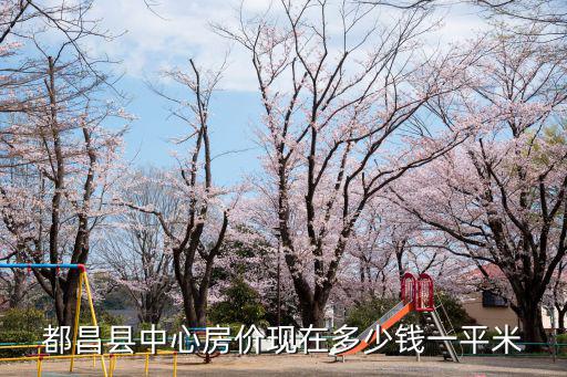 都昌縣中心房價現(xiàn)在多少錢一平米