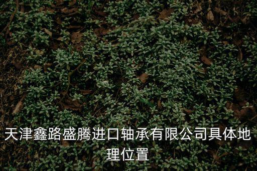 天津鑫路盛騰進(jìn)口軸承有限公司具體地理位置