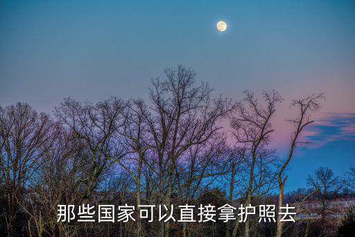移民直接拿護照的國家，快速移民拿護照哪個國家好