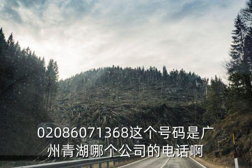 02086071368這個號碼是廣州青湖哪個公司的電話啊
