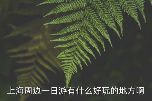 上海周邊一日游有什么好玩的地方啊