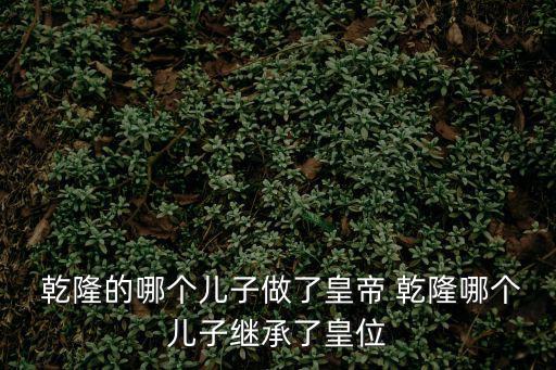  乾隆的哪個兒子做了皇帝 乾隆哪個兒子繼承了皇位