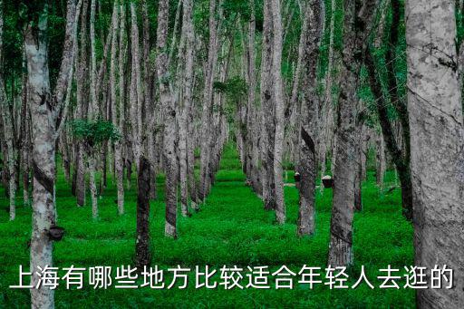 上海有哪些地方比較適合年輕人去逛的