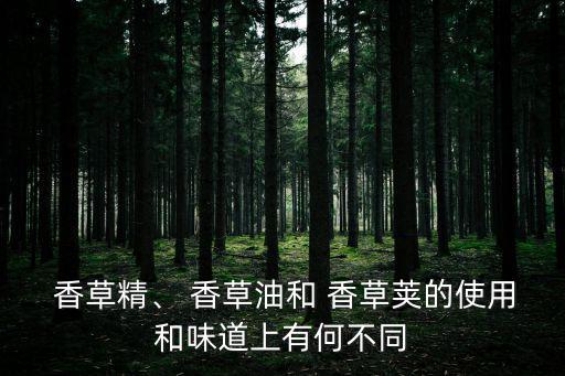  香草精、 香草油和 香草莢的使用和味道上有何不同