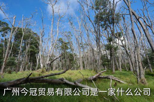 廣州今冠貿易有限公司是一家什么公司
