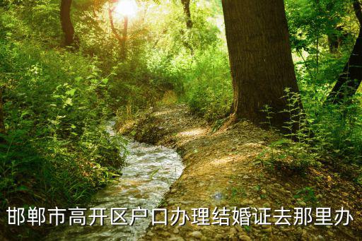 高開區民政局婚姻登記，我的戶口在南中環派出所在哪里辦結婚證啊在那個民政局辦理結婚