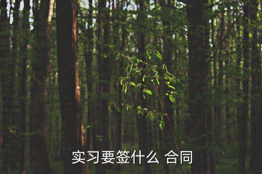  實習要簽什么 合同