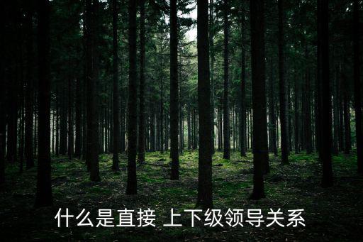 上下級關系,直接上下級領導關系:主任和科員直接決定領導任免