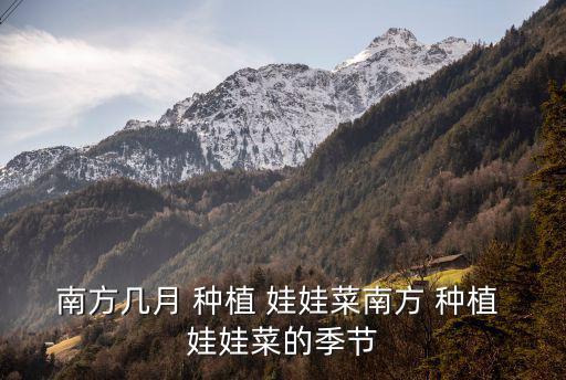 南方幾月 種植 娃娃菜南方 種植 娃娃菜的季節(jié)
