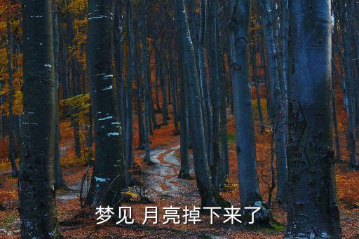 月亮掉下來,孕婦夢見滿月會生男孩但無法避免與它接觸