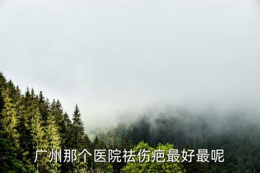 廣州那個(gè)醫(yī)院祛傷疤最好最呢