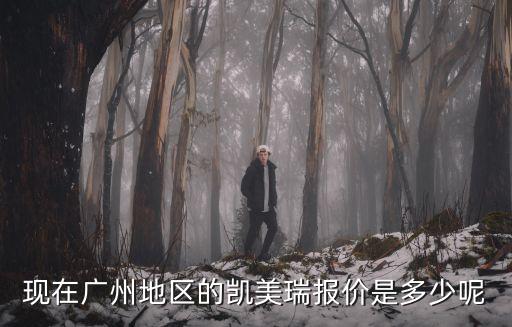 現在廣州地區的凱美瑞報價是多少呢