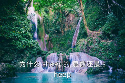 為什么 sheep的 復數還是 sheep