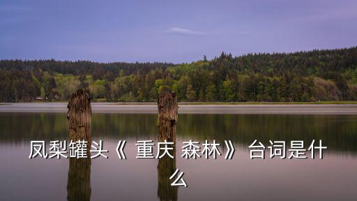 重慶森林臺詞,第二集:我和她之間距離有多遠?