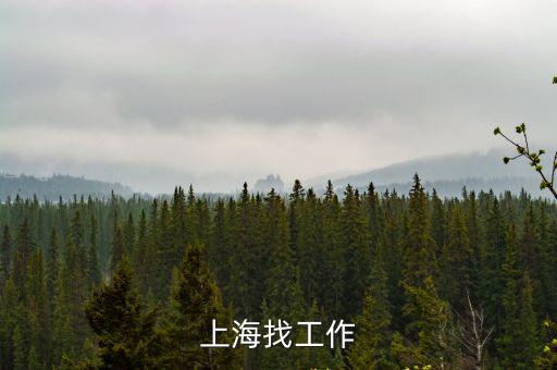 上海找工作