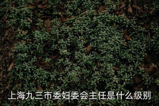 九三學社上海市委員會待遇，珠海 九三學社待遇怎么樣