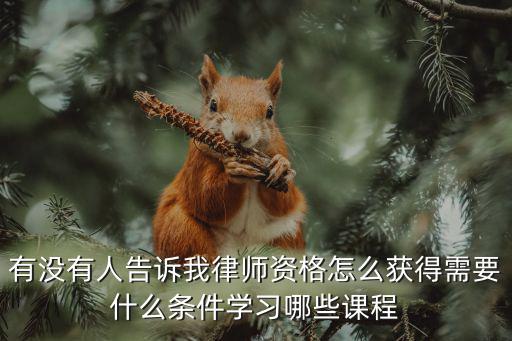 有沒有人告訴我律師資格怎么獲得需要什么條件學(xué)習(xí)哪些課程
