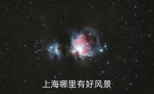 上海哪里有好風(fēng)景