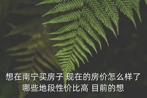 想在南寧買(mǎi)房子 現(xiàn)在的房?jī)r(jià)怎么樣了哪些地段性價(jià)比高 目前的想