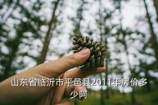 山東省臨沂市平邑縣2011年房價多少阿