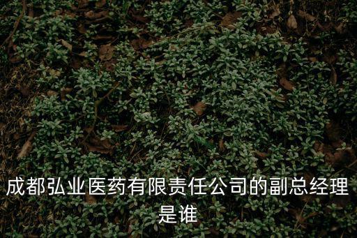 成都市公司副總經理，成都弘業醫藥有限責任公司的副總經理是誰