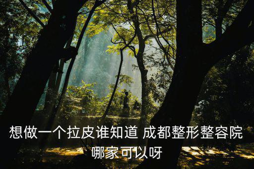 想做一個拉皮誰知道 成都整形整容院哪家可以呀