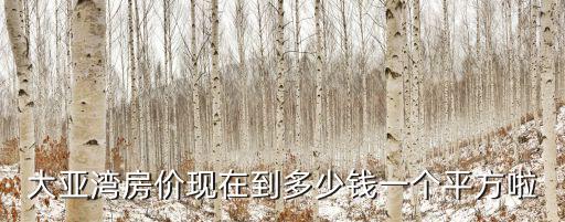 大亞灣房價現(xiàn)在到多少錢一個平方啦
