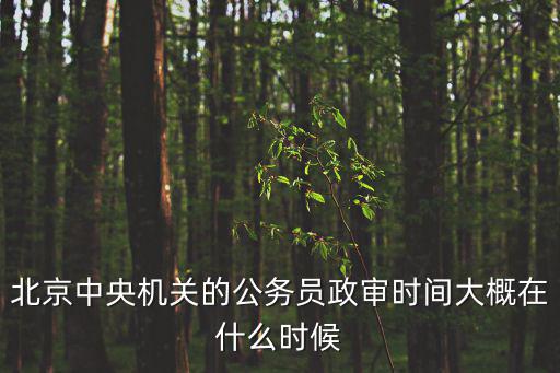 北京中央機關的公務員政審時間大概在什么時候