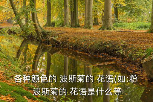 各種顏色的 波斯菊的 花語(如:粉 波斯菊的 花語是什么等