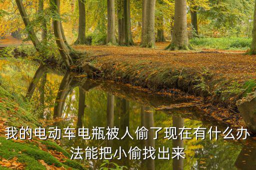 我的電動車電瓶被人偷了現在有什么辦法能把小偷找出來