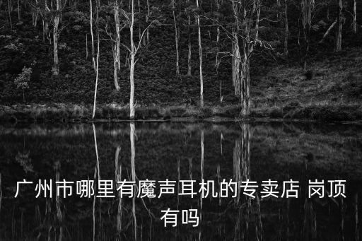 廣州市哪里有魔聲耳機的專賣店 崗頂有嗎