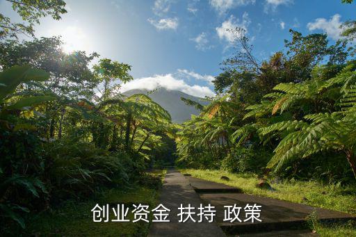 創業資金 扶持 政策