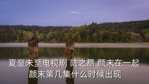 顏末陸之昂,顏末捉弄陸之昂在日本認識了顏末漸漸被吸引