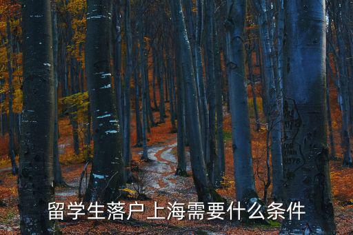 留學生落戶上海需要什么條件