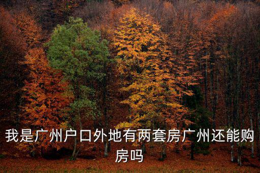 我是廣州戶口外地有兩套房廣州還能購房嗎