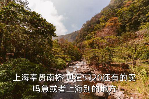 上海奉賢南橋 現在5320還有的賣嗎急或者上海別的地方