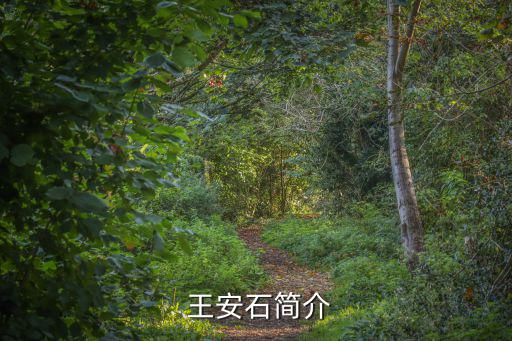  王安石簡介