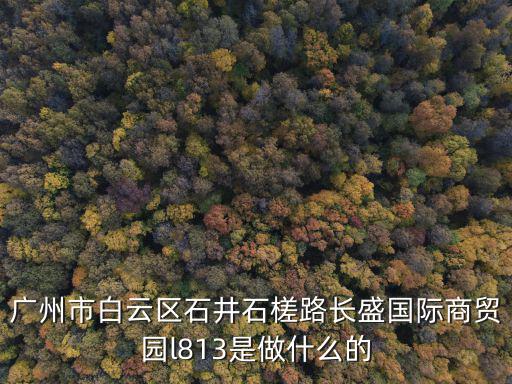 廣州市白云區(qū)石井石槎路長盛國際商貿(mào)園l813是做什么的