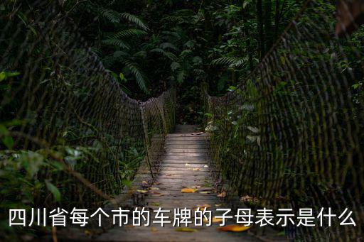 成都市的車牌號字母是什么，成都車牌是用什么字簡稱