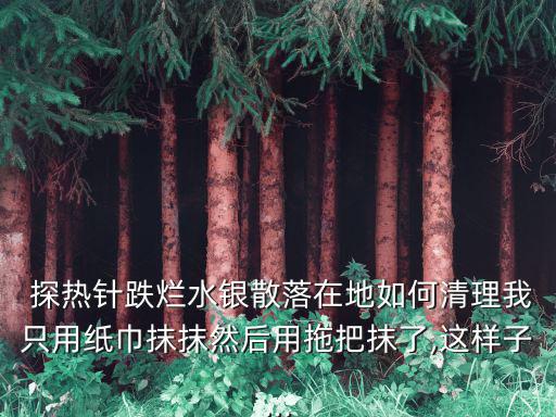  探熱針跌爛水銀散落在地如何清理我只用紙巾抹抹然后用拖把抹了,這樣子...